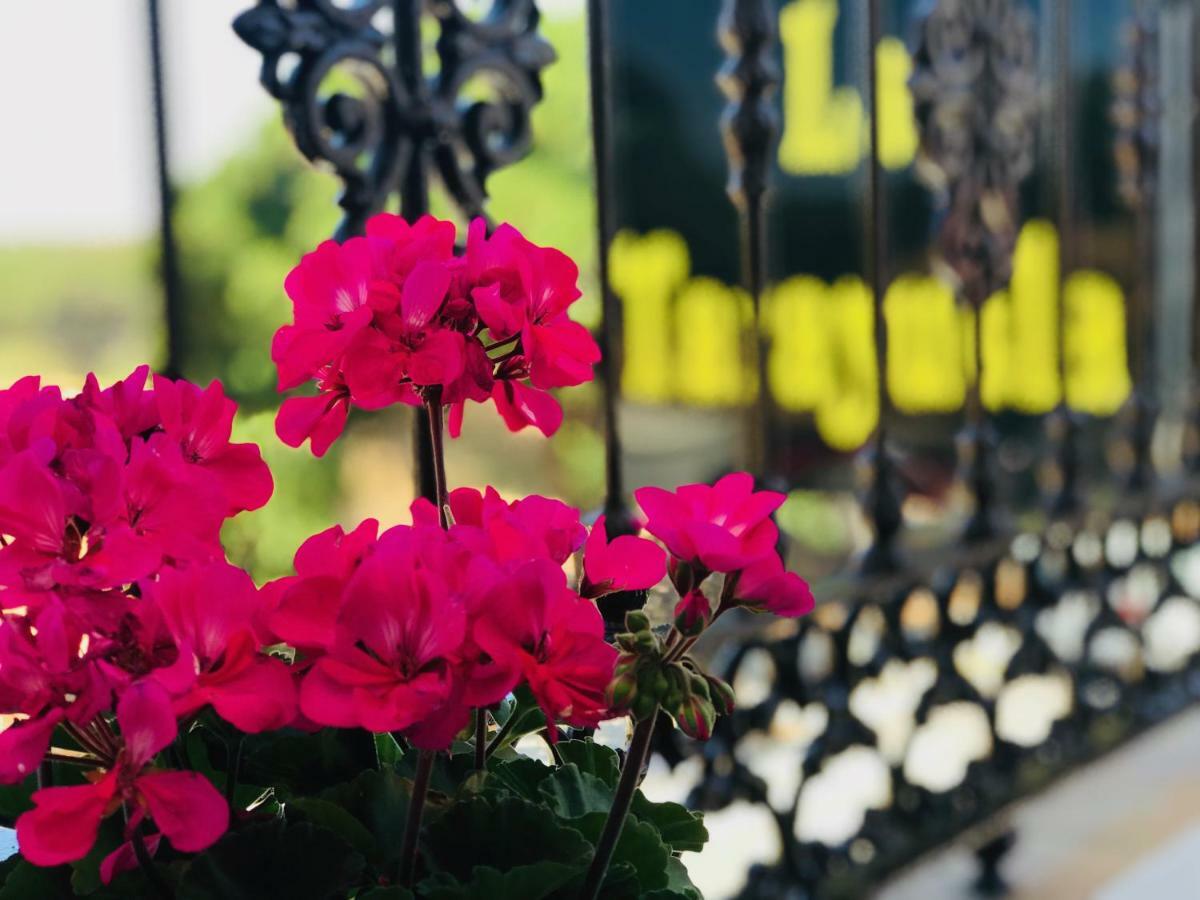 Hostal La Tarayuela Барбате Екстериор снимка